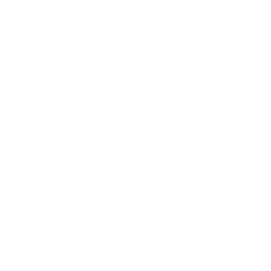 bruno_soehnle_logo Bruno Söhnle Logo
