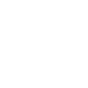 cluse_logo Cluse Logo