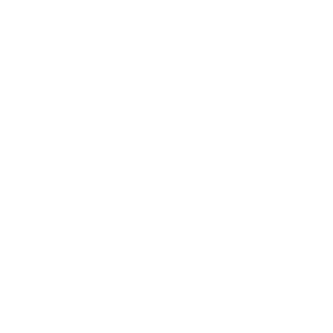 coeur_de_lion_logo Coeur de Lion Logo