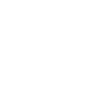 festina_logo Festina