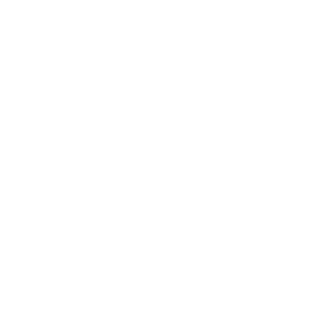 Head Logo